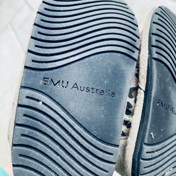 Emu - Picture 4 of 4